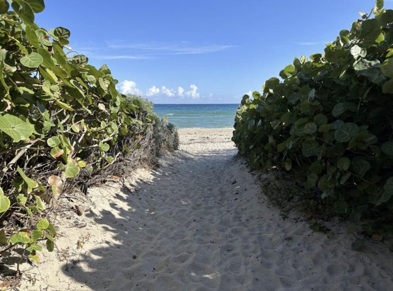 49 Douglas Drive, Ocean Ridge, FL 33435 Photo