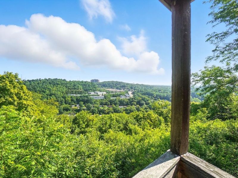 2088 Raeburn Drive, Cincinnati, OH 45223 Photo 24