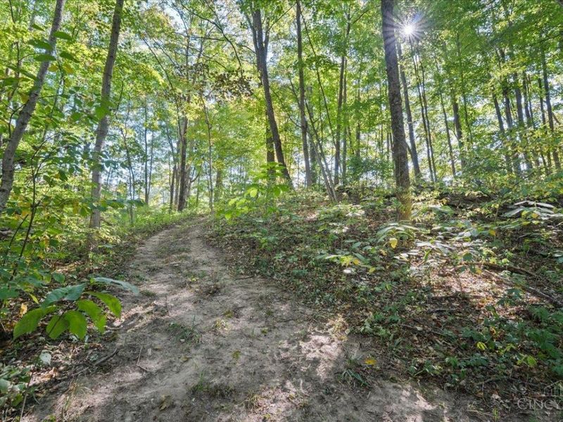 4230 Bingamon Road, Scott Twp, OH 45106 Photo 11