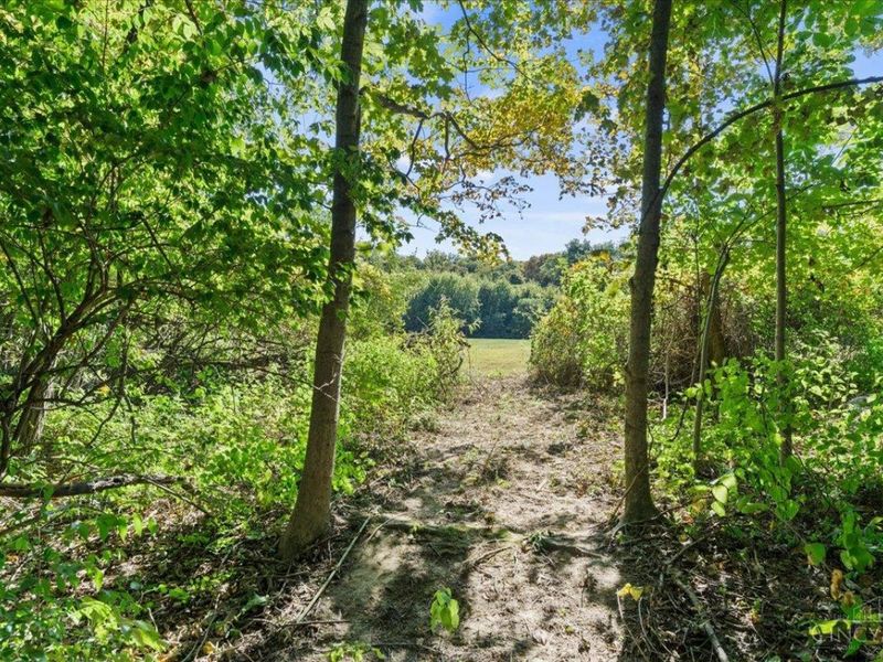 4230 Bingamon Road, Scott Twp, OH 45106 Photo 12