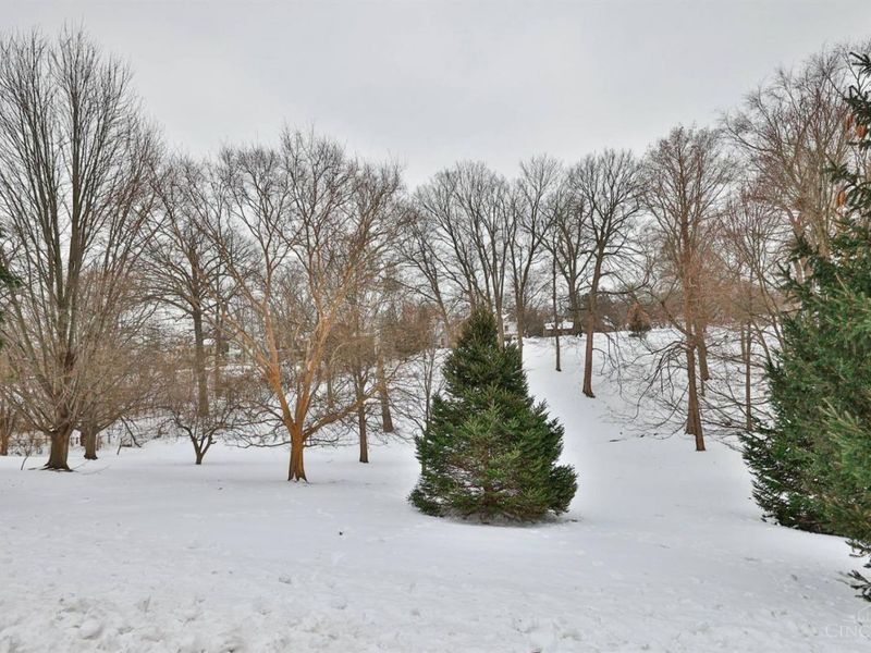 2444 Madison Road, Unit 1908, Cincinnati, OH 45208 Photo 30