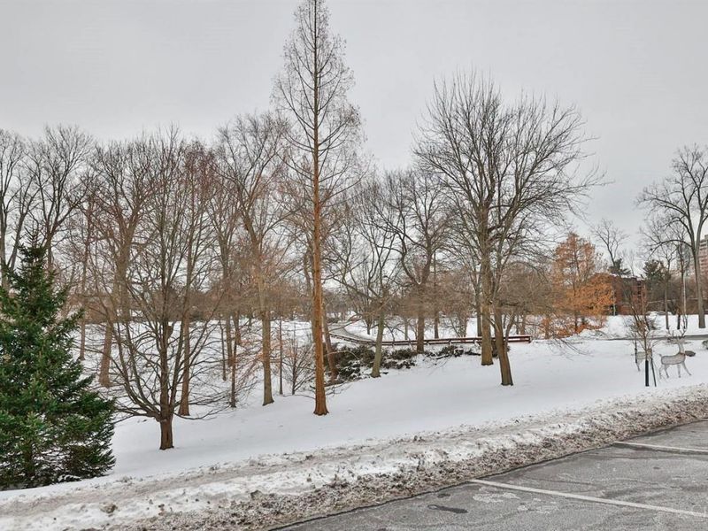 2444 Madison Road, Unit 1908, Cincinnati, OH 45208 Photo 31