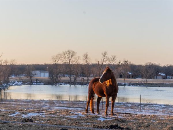 189 Nautilus Court, Decatur, TX 76234