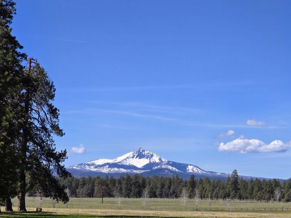 353 S Pine Meadow Street, Unit #8, Sisters, OR 97759