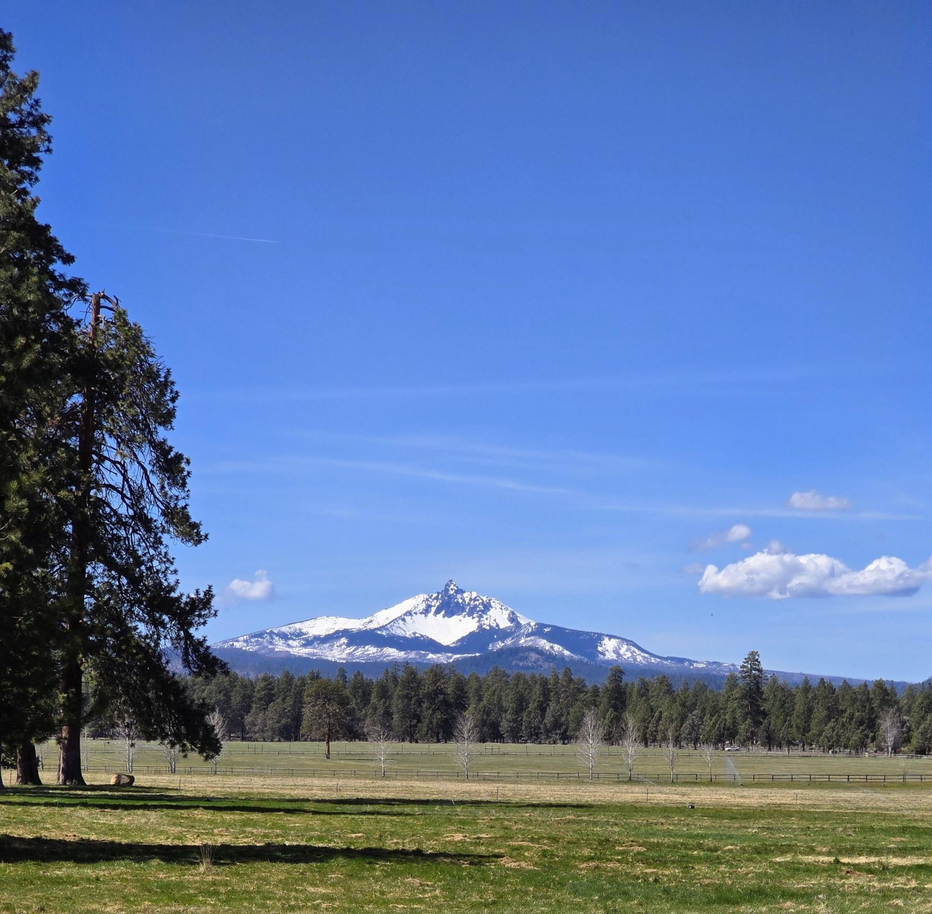 353 S Pine Meadow Street, Unit #8, Sisters, OR 97759 Main Photo