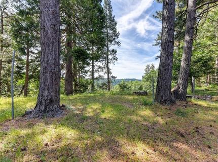 6290 Pony Express Trl, Pollock Pines, CA 95726 Photo