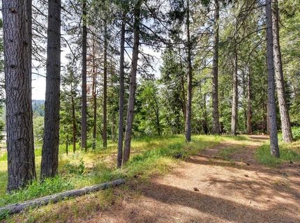 6290 Pony Express Trl, Pollock Pines, CA 95726 Photo