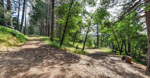 6290 Pony Express Trl, Pollock Pines, CA 95726 Photo