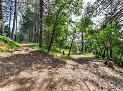 6290 Pony Express Trl, Pollock Pines, CA 95726 Photo