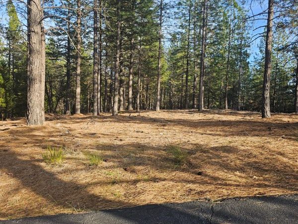 2801 Harkness St, Georgetown, CA 95634