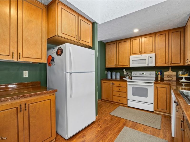 33125 Tanager Court, North Ridgeville, OH 44039 Photo 15