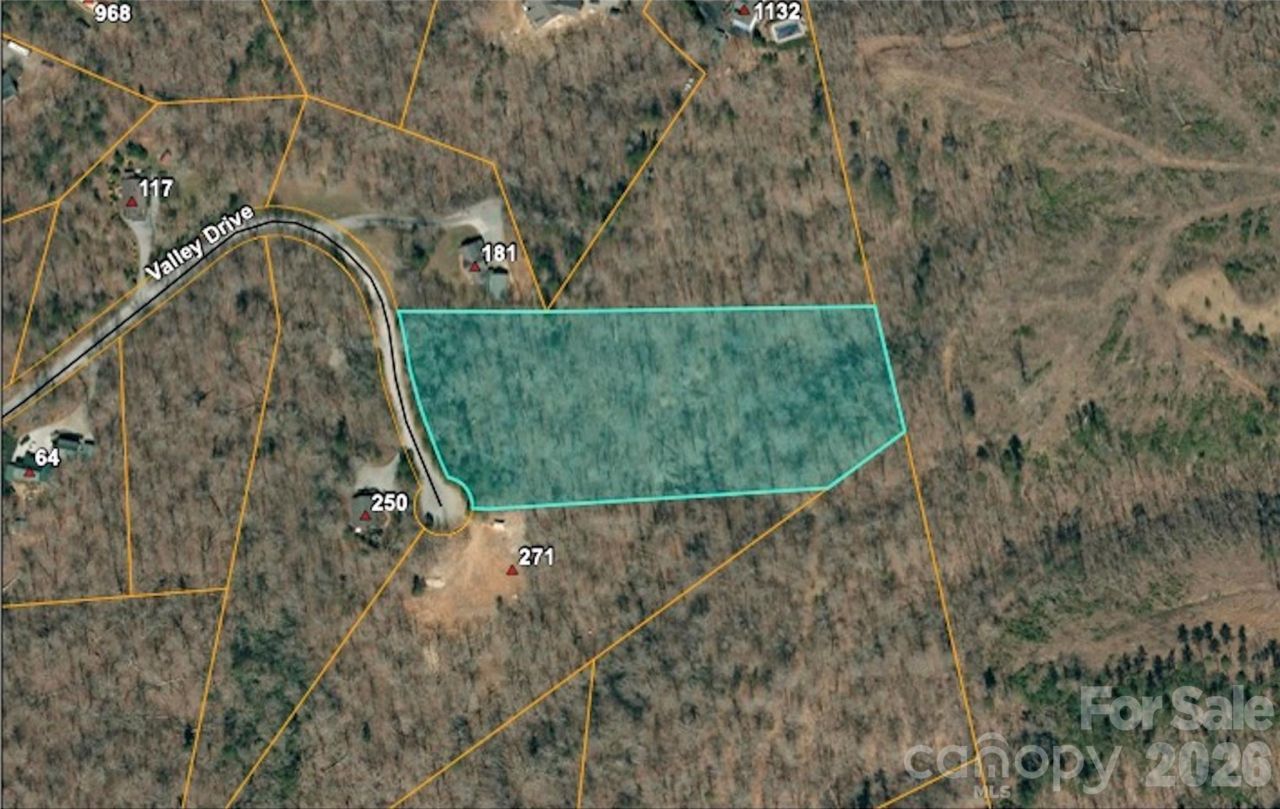 0 Valley Drive, Rutherfordton, NC 28139 Main Photo