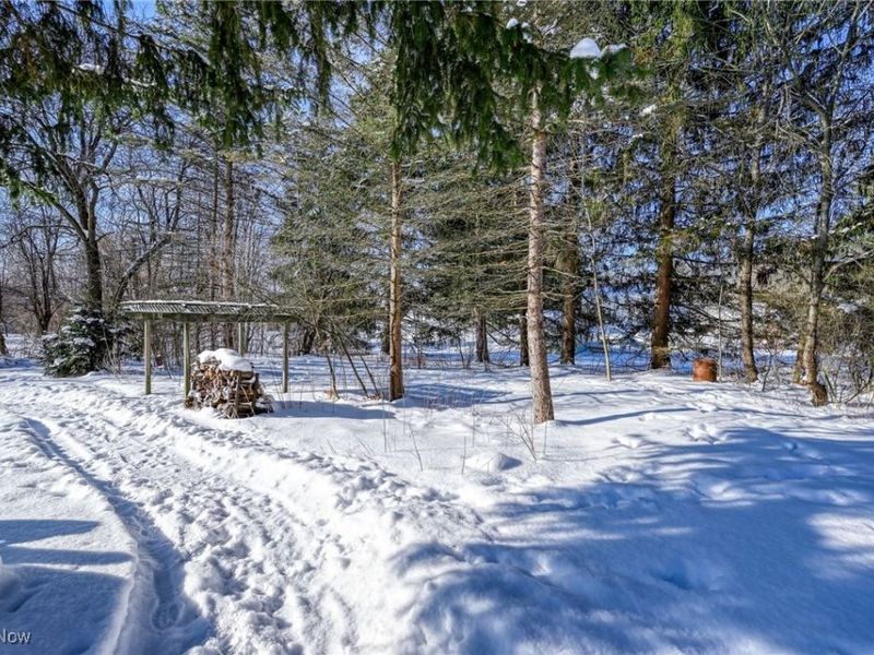 12586 Woodside Drive, Chesterland, OH 44026 Photo 37