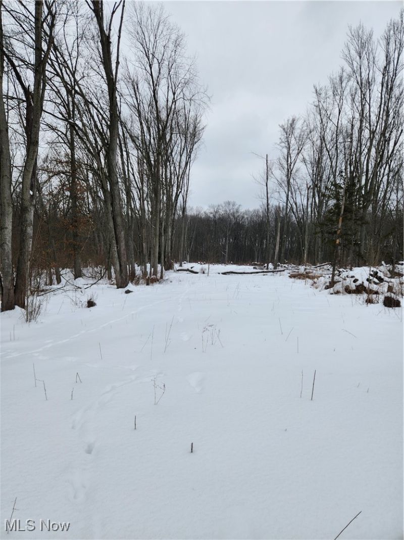 Royalton Road, Columbia Station, OH 44028 Main Photo