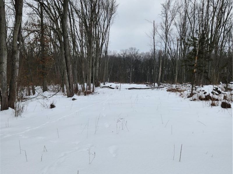 Royalton Road, Columbia Station, OH 44028 Photo 1