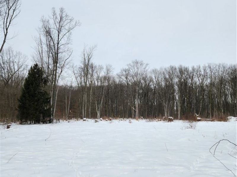 Royalton Road, Columbia Station, OH 44028 Photo 3