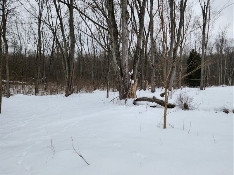 Royalton Road, Columbia Station, OH 44028 Photo 5