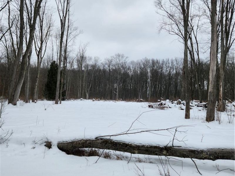 Royalton Road, Columbia Station, OH 44028 Photo 6