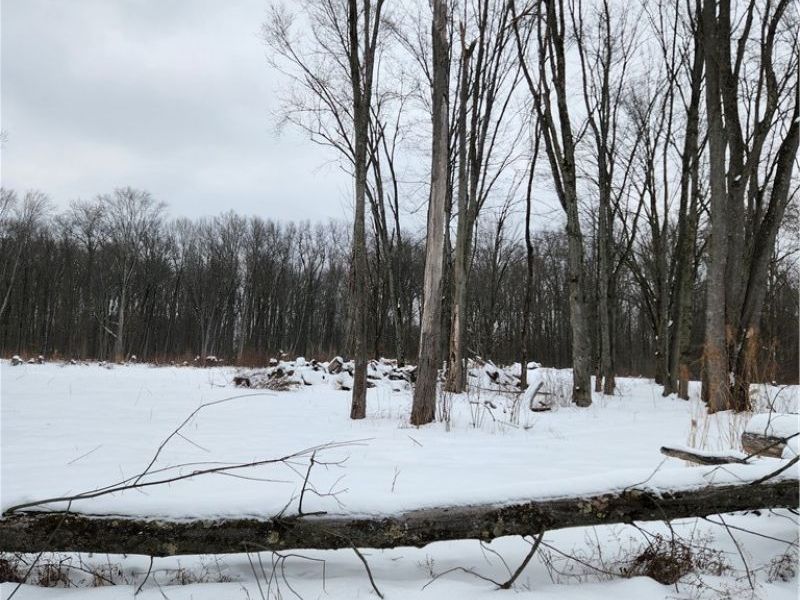 Royalton Road, Columbia Station, OH 44028 Photo 7