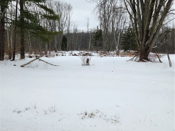 Royalton Road, Columbia Station, OH 44028