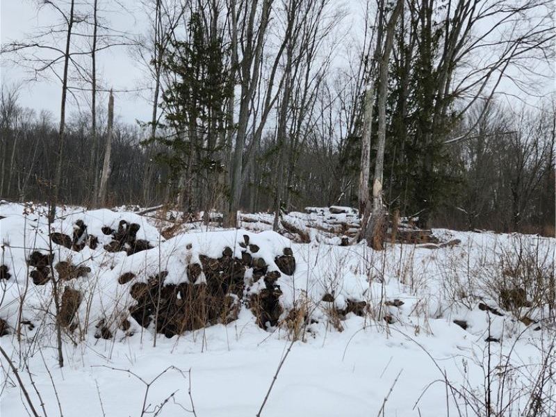 Royalton Road, Columbia Station, OH 44028 Photo 10