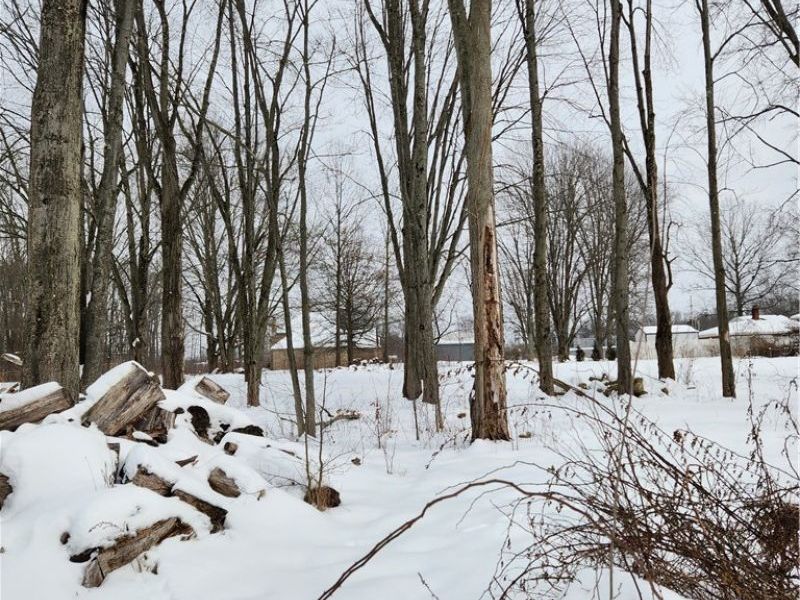 Royalton Road, Columbia Station, OH 44028 Photo 2