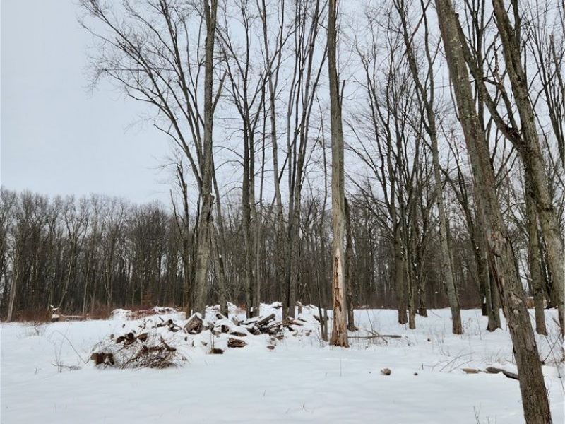 Royalton Road, Columbia Station, OH 44028 Photo 3