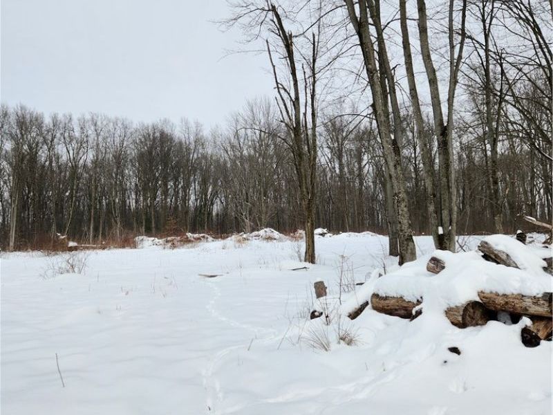 Royalton Road, Columbia Station, OH 44028 Photo 4