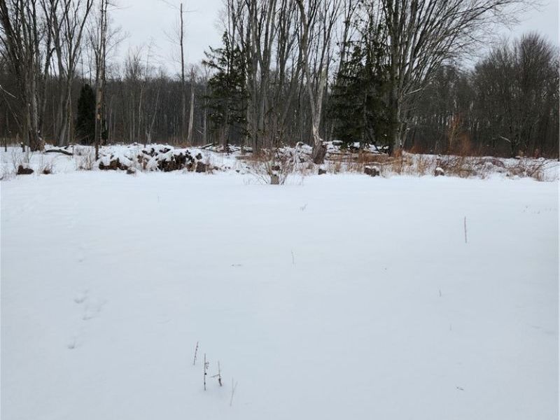 Royalton Road, Columbia Station, OH 44028 Photo 5