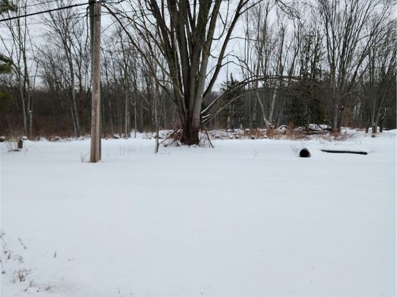 Royalton Road, Columbia Station, OH 44028 Photo 8