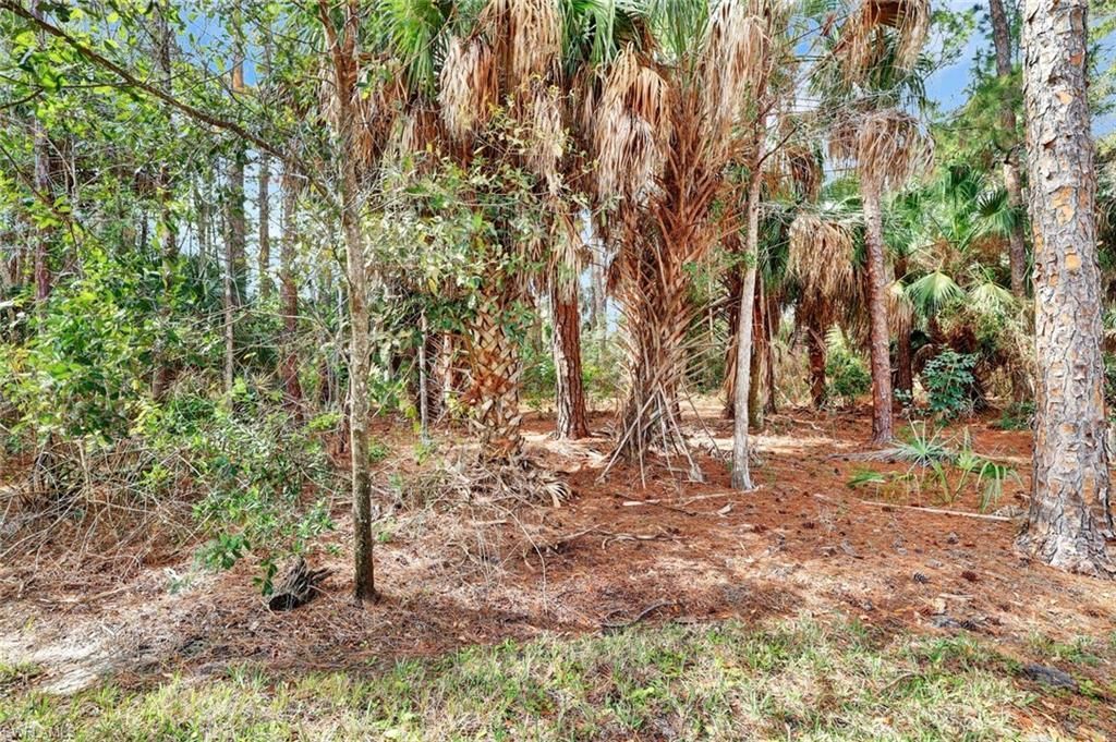 8206 Sanctuary Dr, Unit 1, Naples, FL 34104 Photo