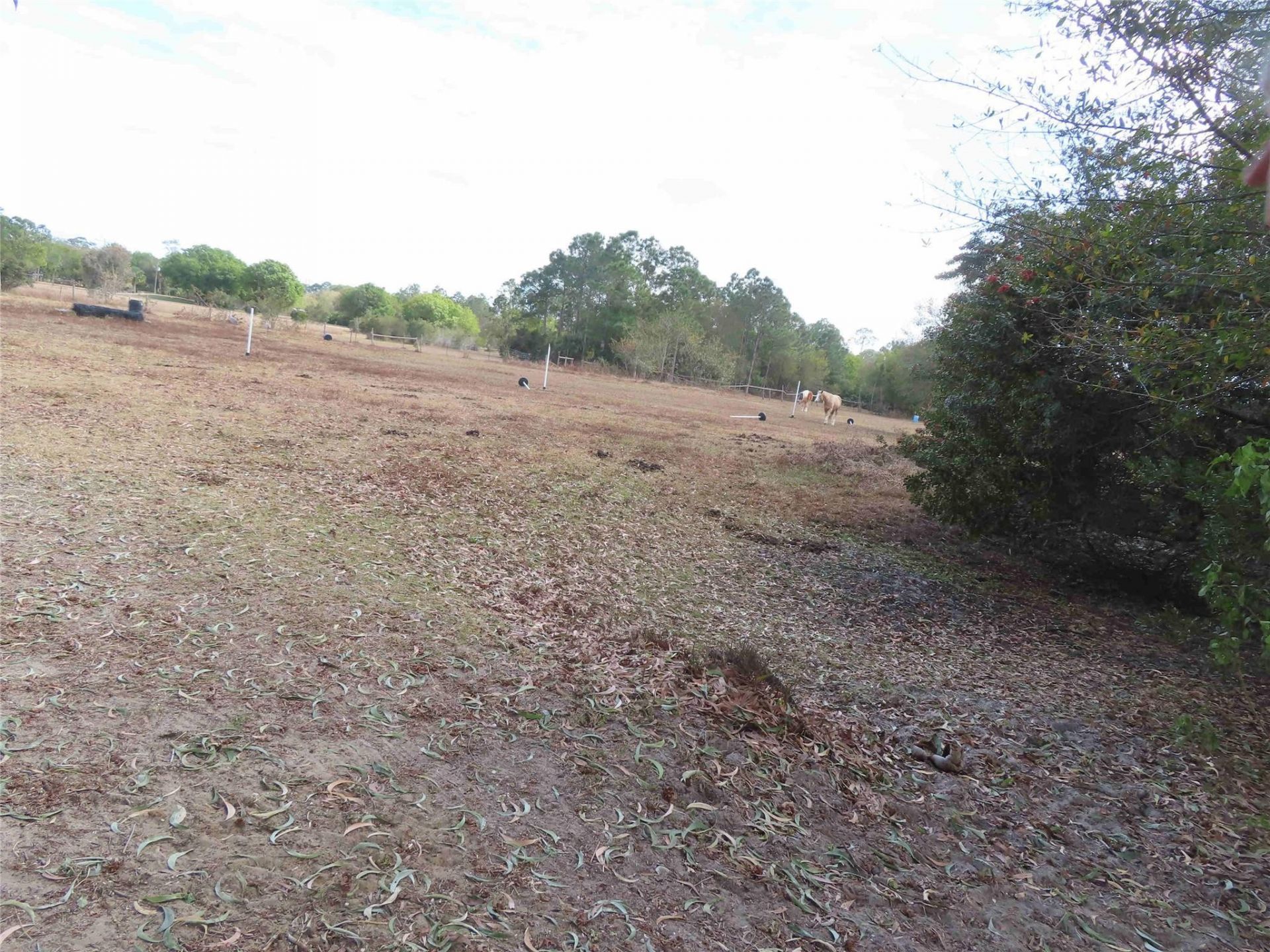 18500 Glades Cut Off Road, Port Saint Lucie, FL 34987 Photo