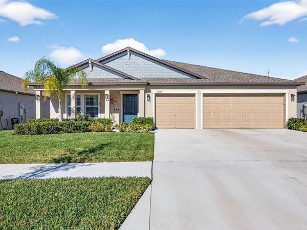 15217 ZIRCON RED DRIVE, WIMAUMA, FL 33598