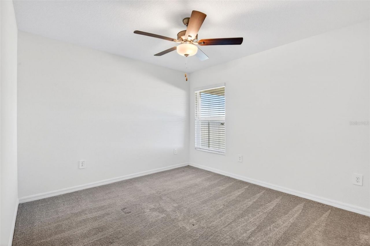 15217 Zircon Red Drive, Wimauma, FL 33598 Photo