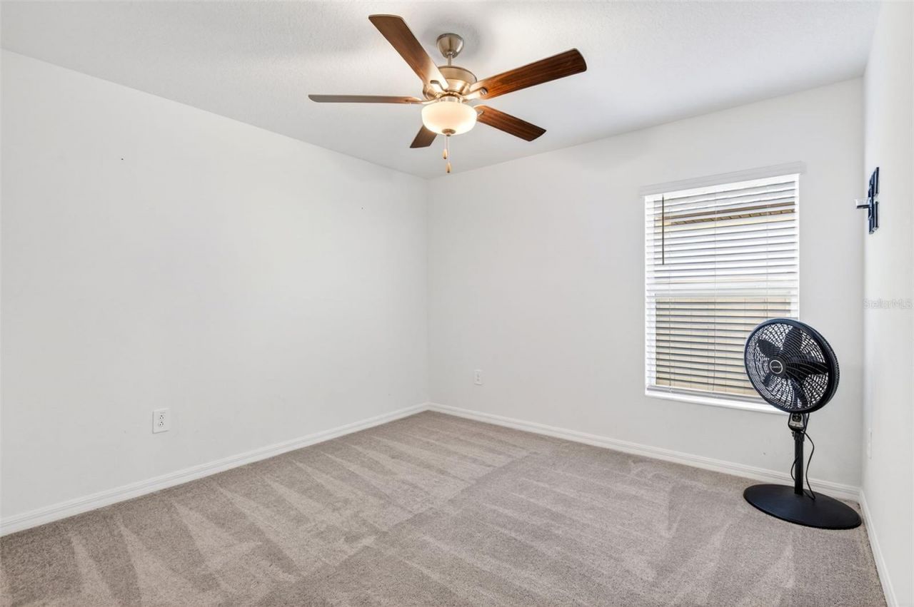 15217 Zircon Red Drive, Wimauma, FL 33598 Photo