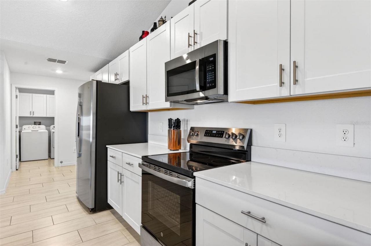15217 Zircon Red Drive, Wimauma, FL 33598 Photo