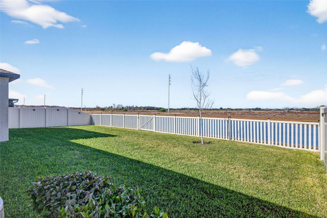 15217 Zircon Red Drive, Wimauma, FL 33598 Photo