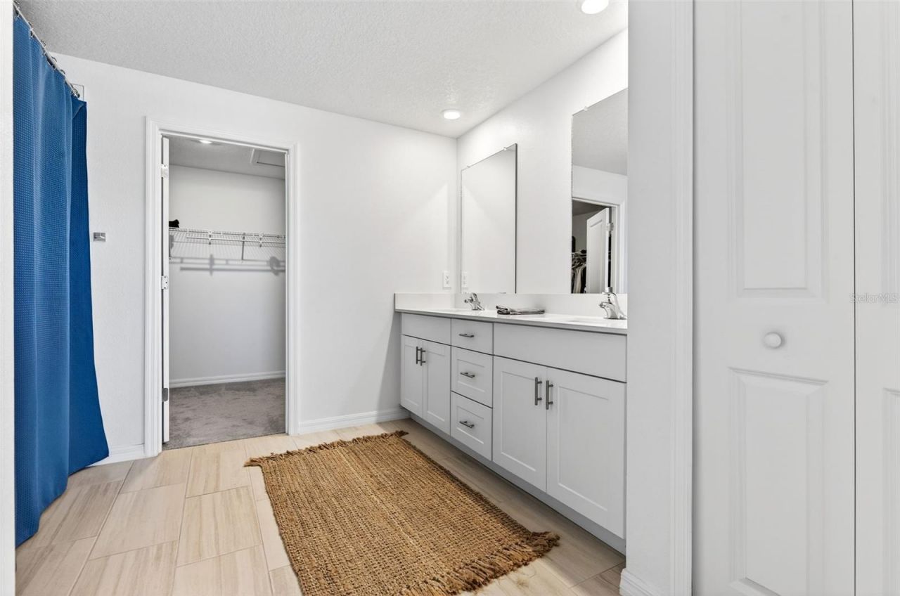 15217 Zircon Red Drive, Wimauma, FL 33598 Photo