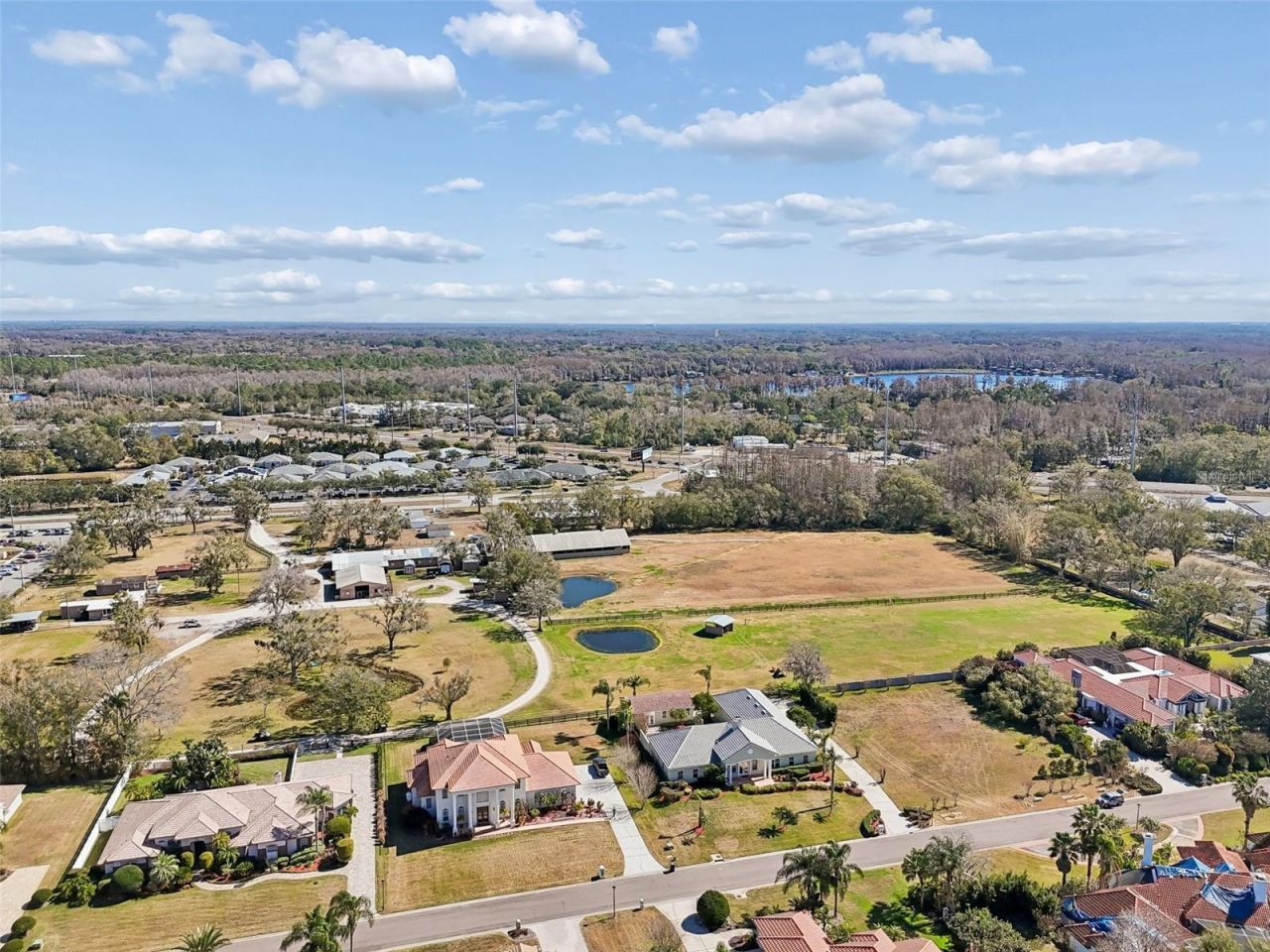 18909 Apian Way, Lutz, FL 33558 Photo