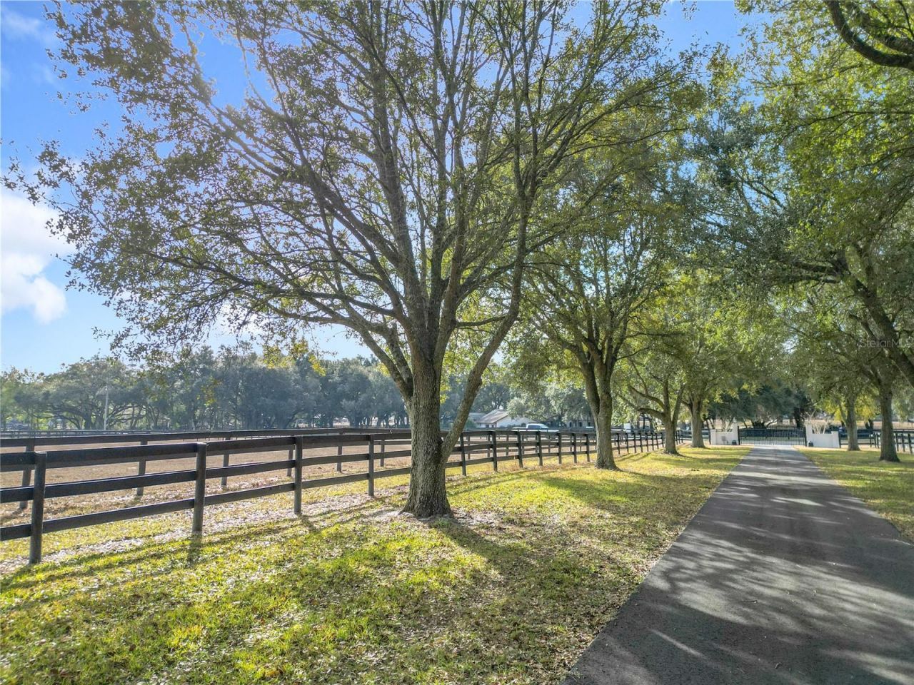 21051 SE 42nd Street, Morriston, FL 32668 Photo