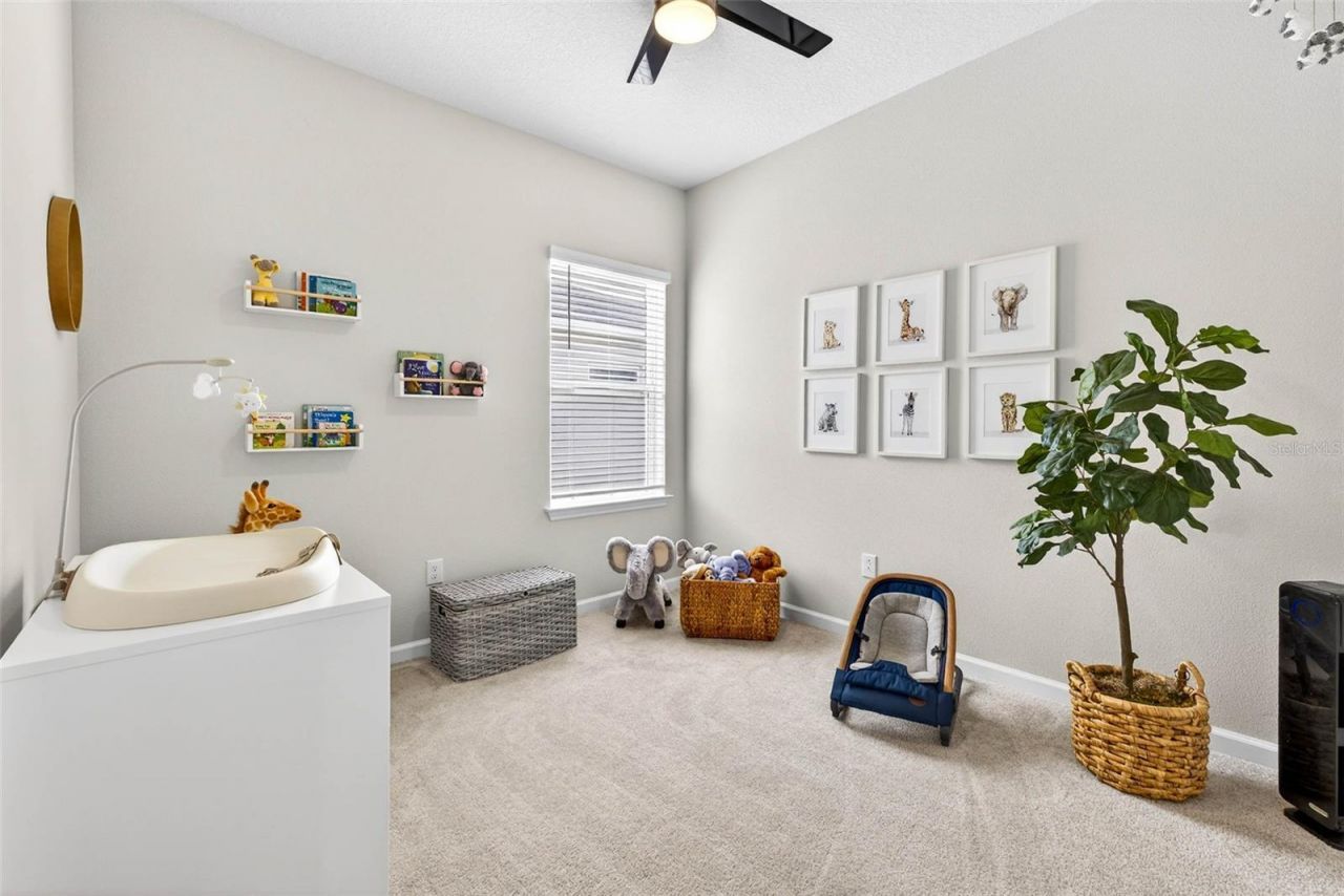 9833 Zennia Lane, Parrish, FL 34219 Photo