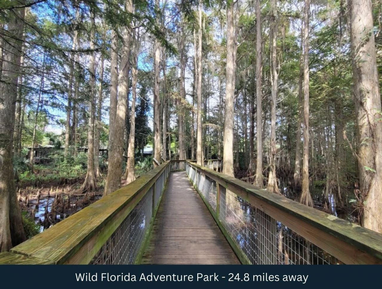 1099 S Canoe Creek Road, Kenansville, FL 34739 Photo