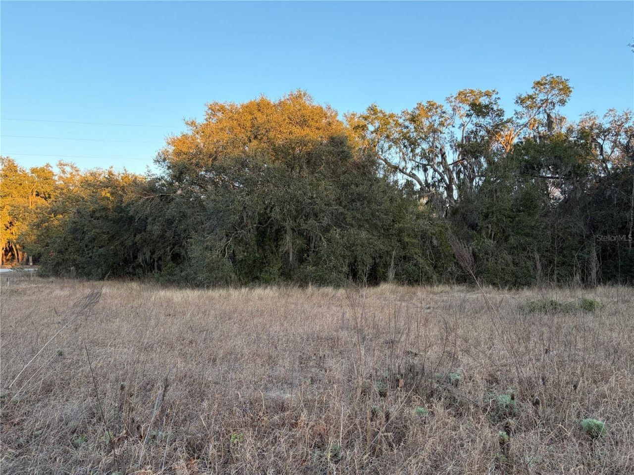 13434 Maryland Avenue, Astatula, FL 34705 Photo