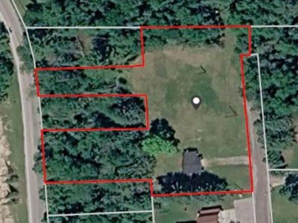 4443 N Cherry Road N, Alcona Twp, MI 48742