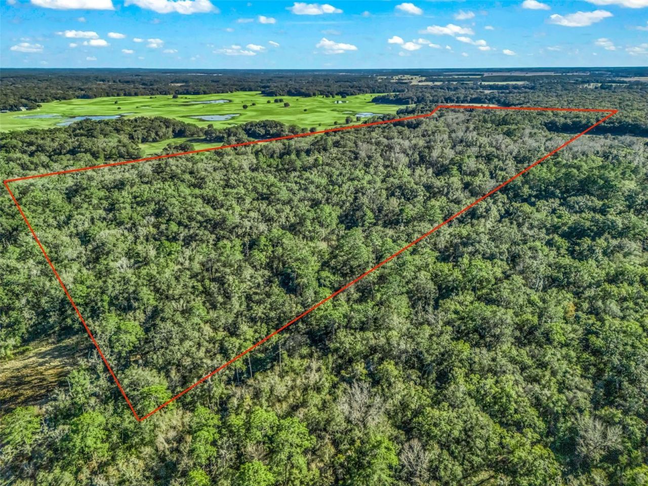 0 SE 165th Avenue, Williston, FL 32696 Photo