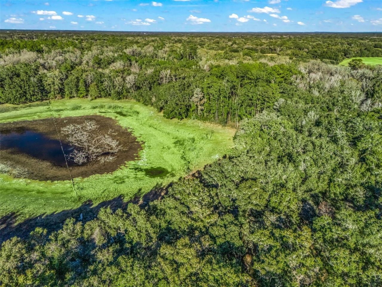 0 SE 165th Avenue, Williston, FL 32696 Photo