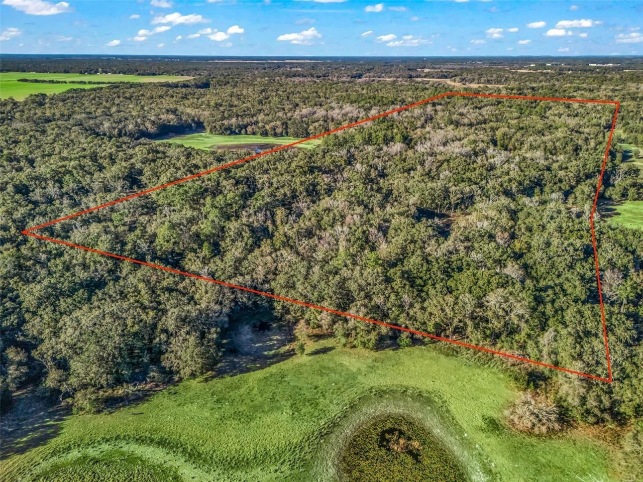 0 SE 165th Avenue, Williston, FL 32696 Photo