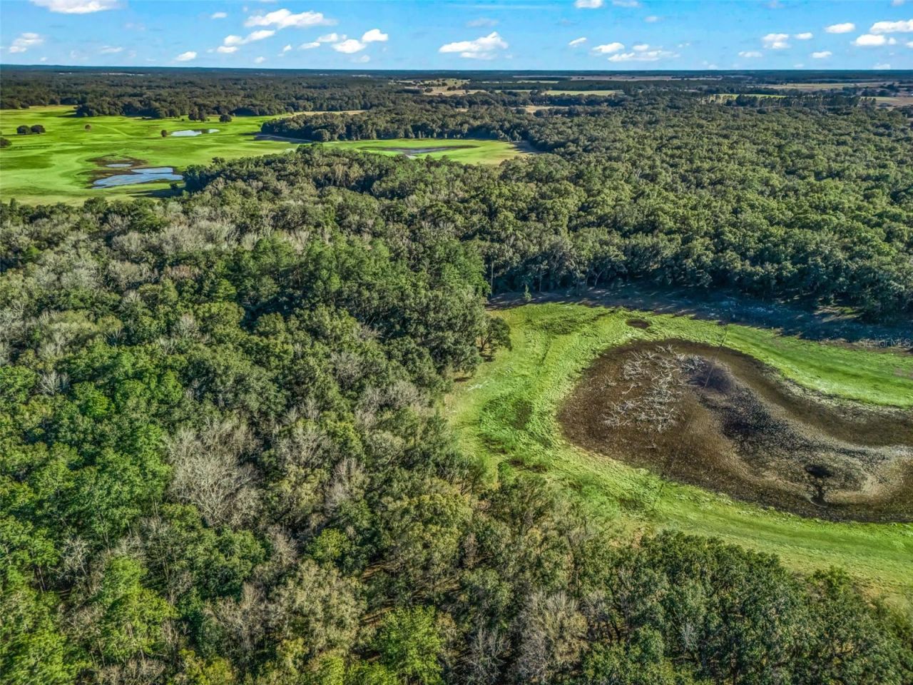 0 SE 165th Avenue, Williston, FL 32696 Photo