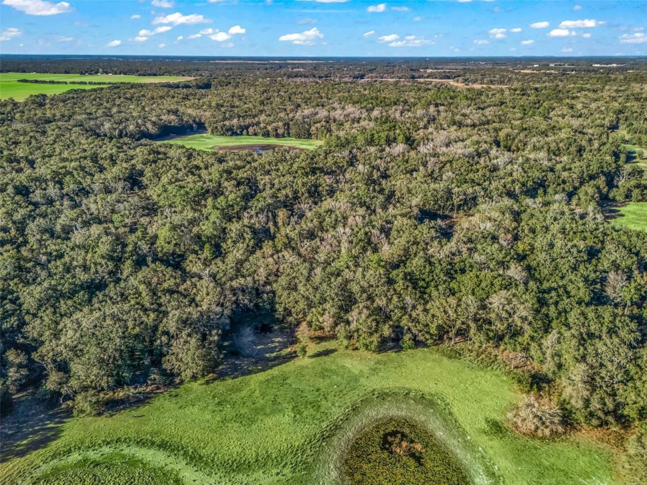 0 SE 165th Avenue, Williston, FL 32696 Photo