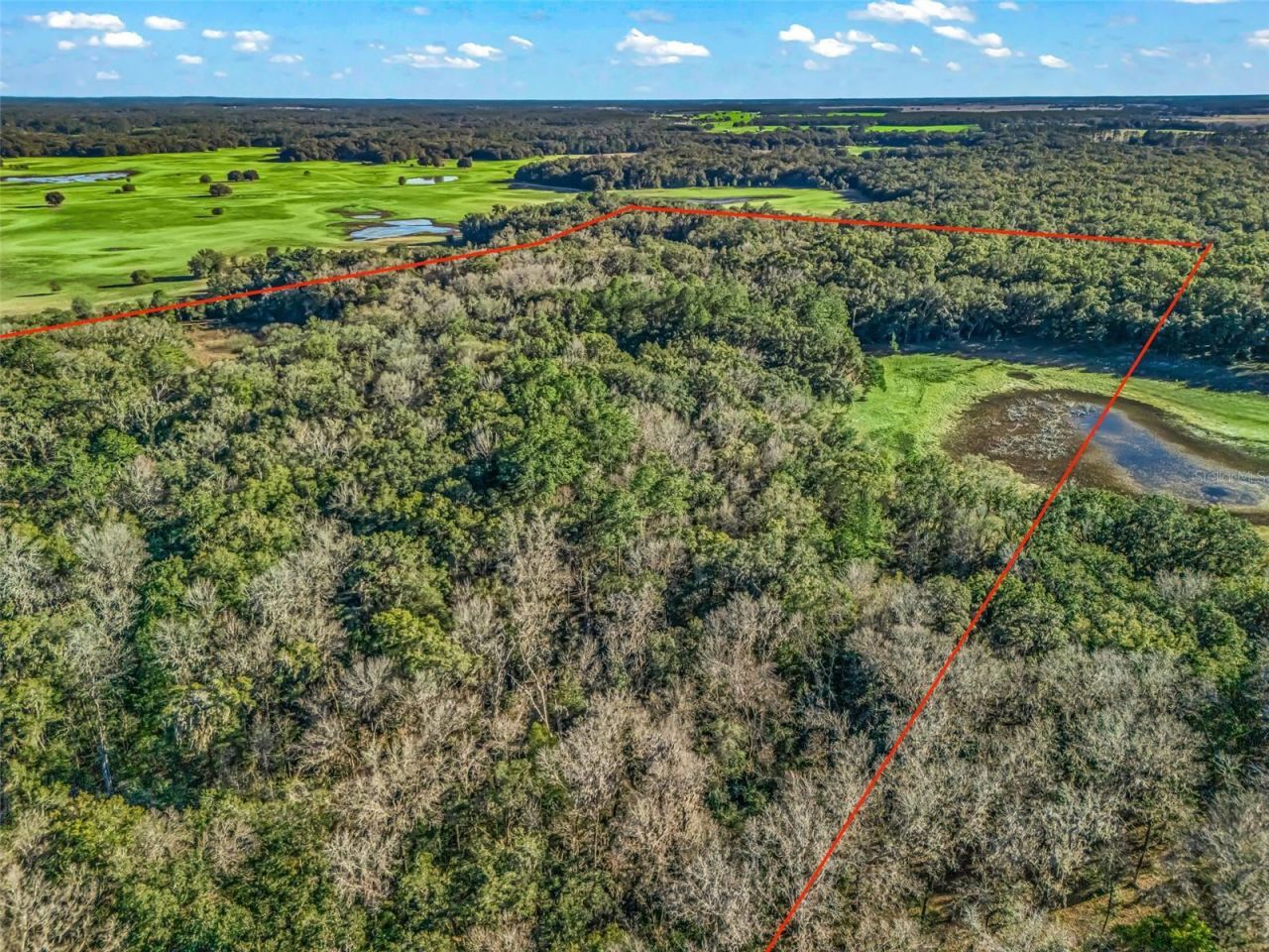 0 SE 165th Avenue, Williston, FL 32696 Photo